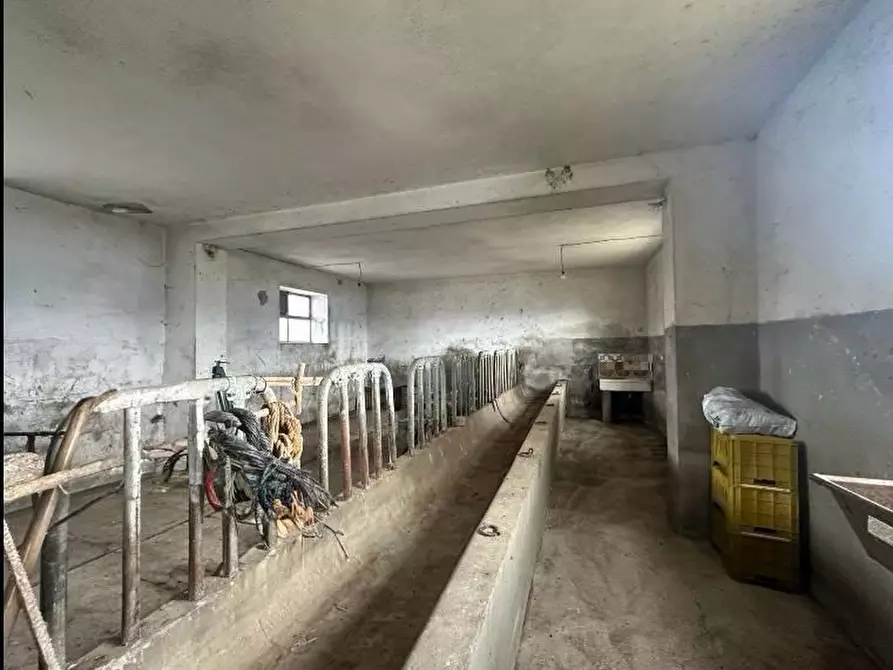 Immagine 5 di Villa in vendita  17 a Basciano