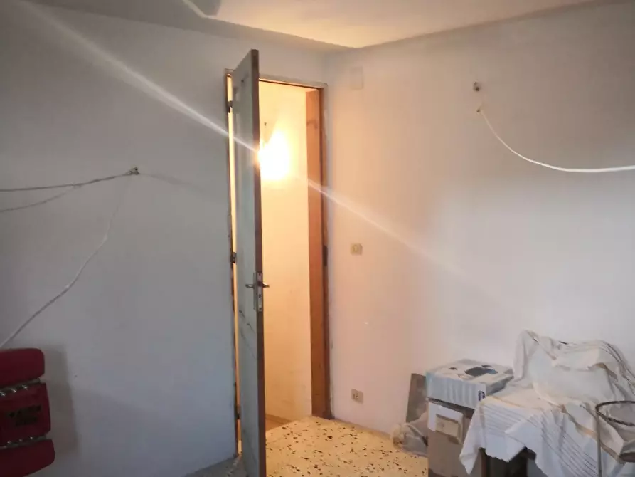 Immagine 5 di Villa in vendita  a Trapani