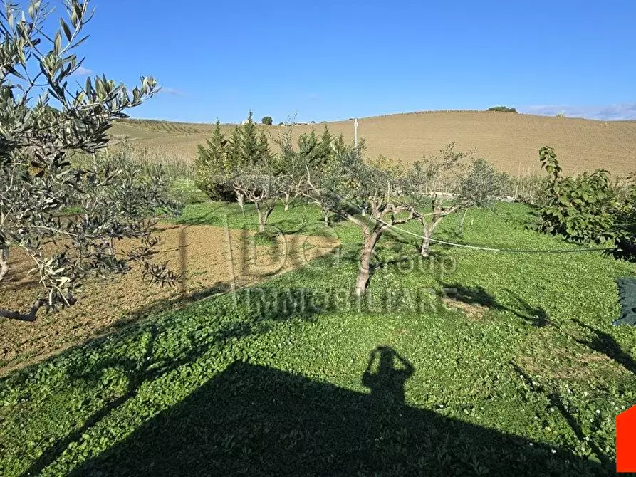 Immagine 8 di Villa in vendita  a Alcamo