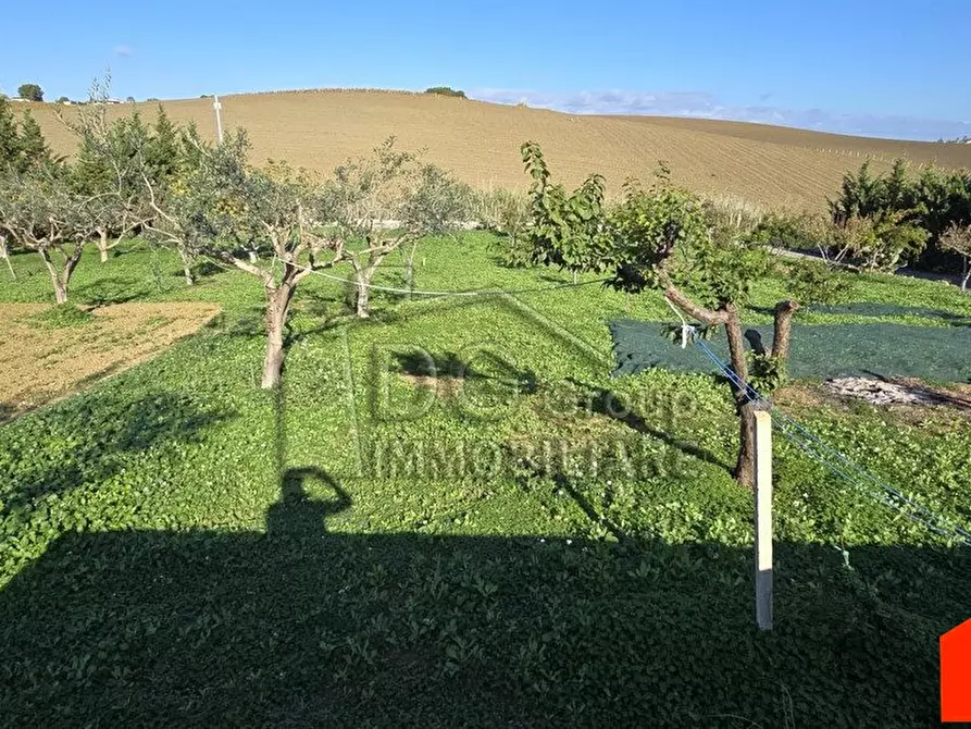 Immagine 10 di Villa in vendita  a Alcamo