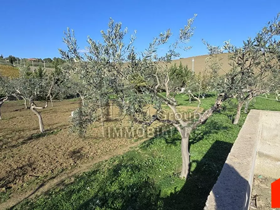Immagine 9 di Villa in vendita  a Alcamo