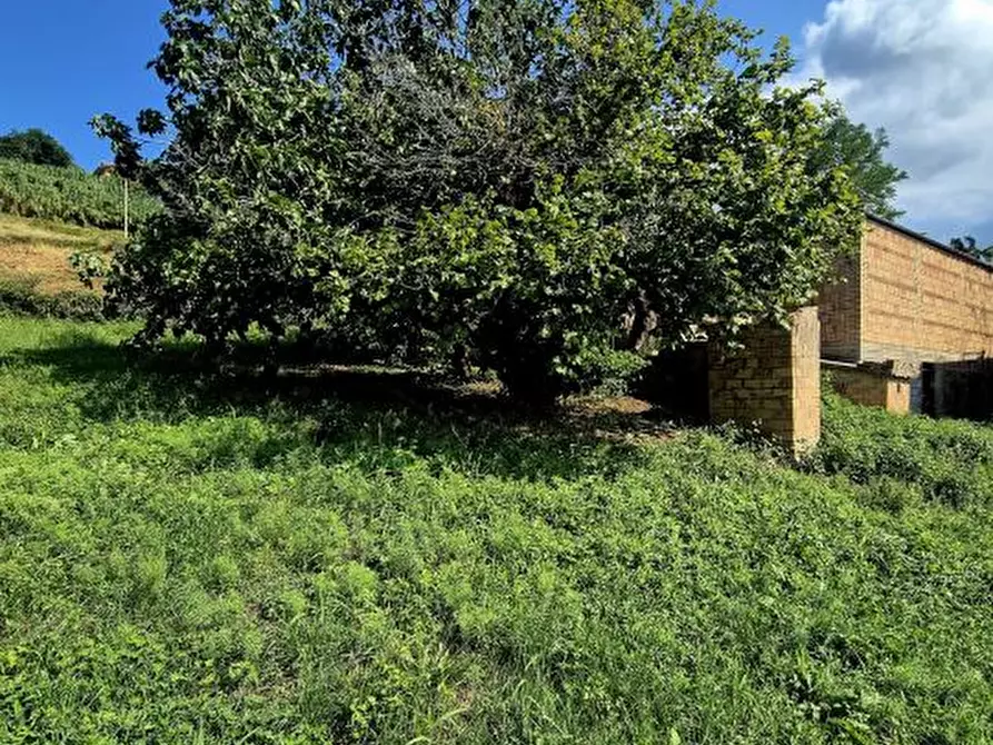 Immagine 4 di Casa semindipendente in vendita  a Filetto