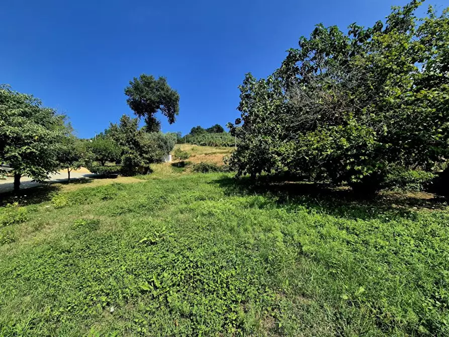 Immagine 9 di Casa semindipendente in vendita  a Filetto