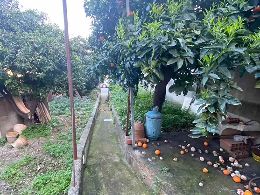 Immagine 10 di Casa semindipendente in vendita  a Spadafora