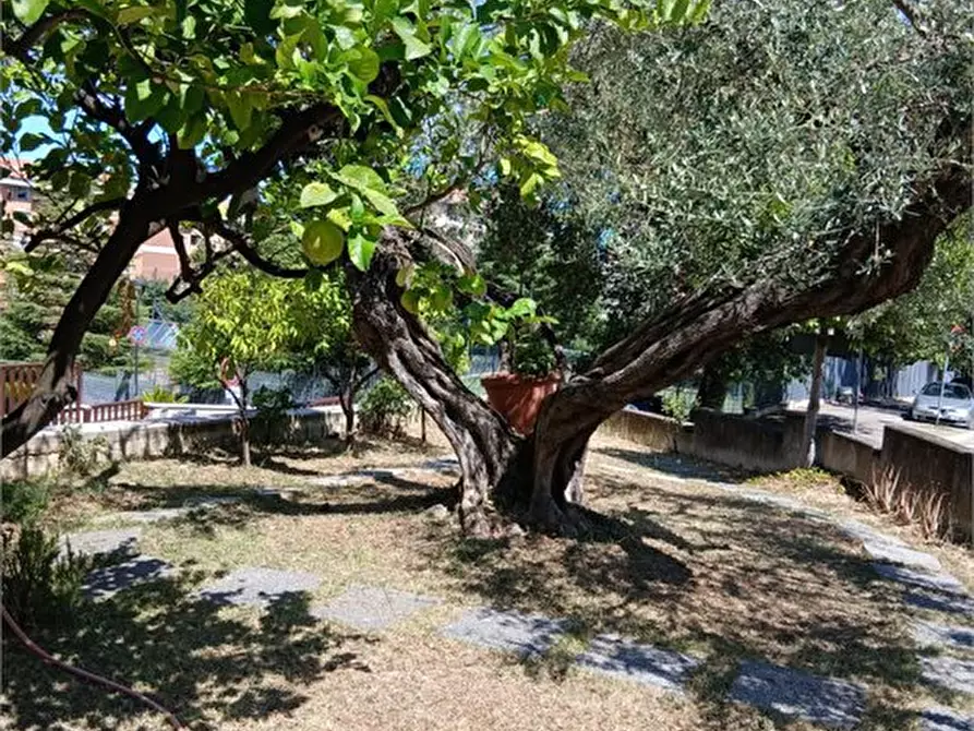 Immagine 3 di Casa semindipendente in vendita  a Pescara