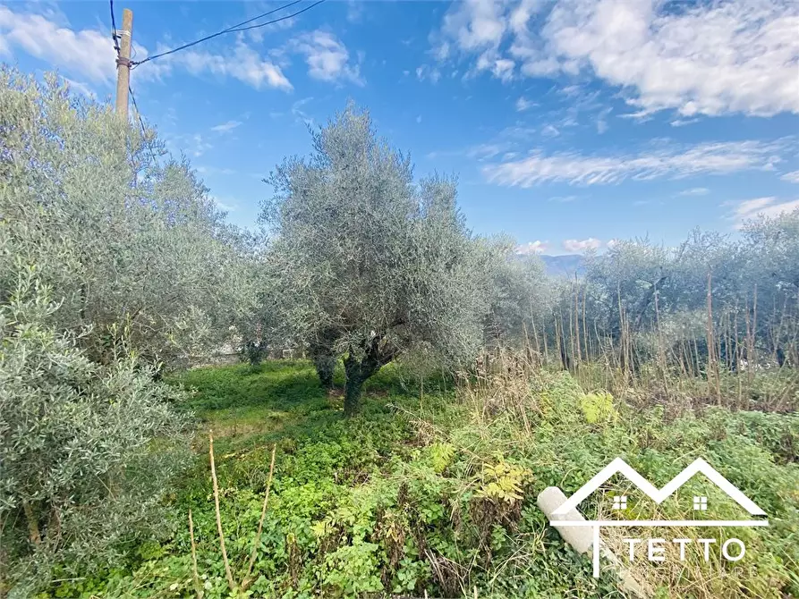 Immagine 10 di Casa semindipendente in vendita  6 a Selci