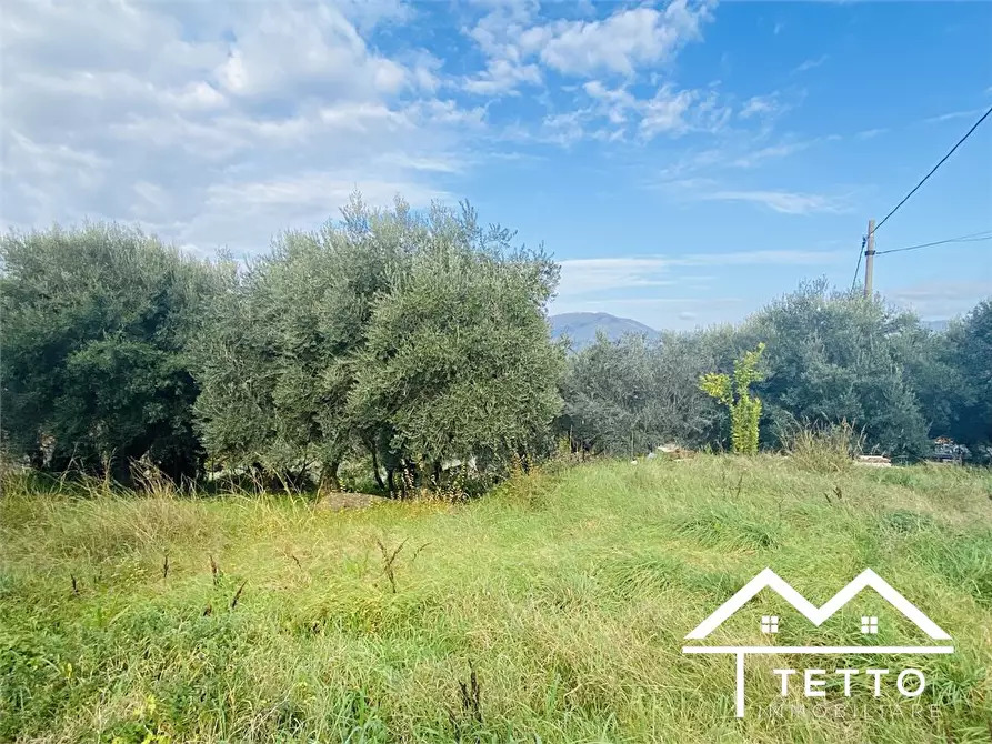 Immagine 9 di Casa semindipendente in vendita  6 a Selci