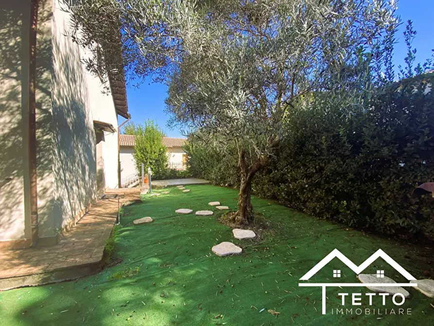 Immagine 6 di Casa semindipendente in vendita  38 a Selci