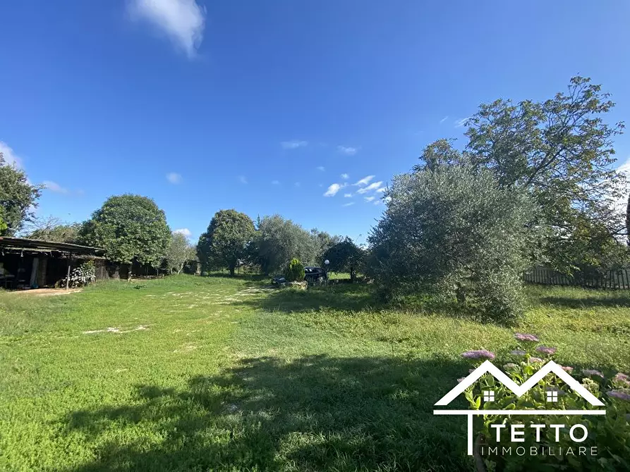 Immagine 9 di Casa semindipendente in vendita  36/A a Corchiano