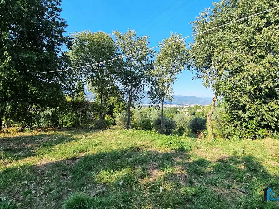 Immagine 1 di Casa indipendente in vendita  a Terni