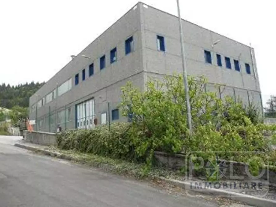 Immagine 4 di Capannone industriale in vendita  3 a Treviso Bresciano