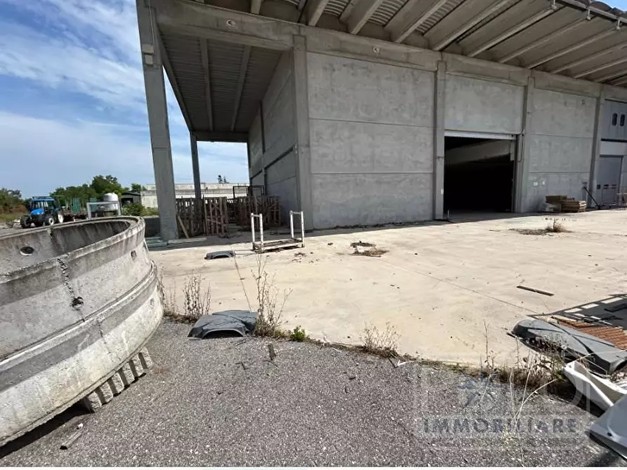 Immagine 5 di Capannone industriale in vendita  7 a Fiesse