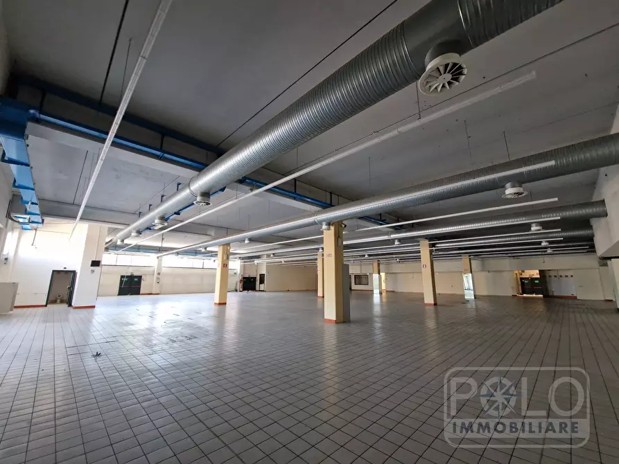 Immagine 3 di Capannone industriale in vendita  SNC a Palazzolo Sull'oglio