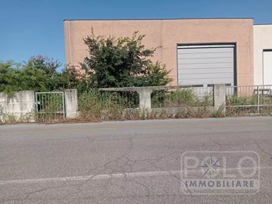 Immagine 4 di Capannone industriale in vendita  24 a San Benedetto Po