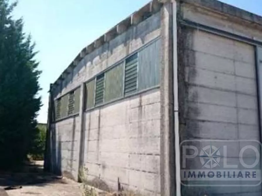Immagine 8 di Capannone industriale in vendita  24 a San Benedetto Po