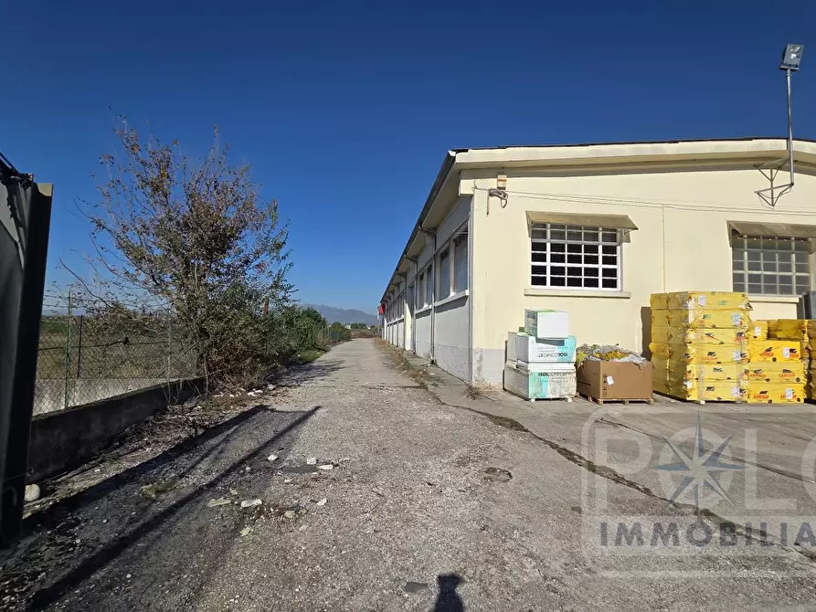 Immagine 10 di Capannone industriale in vendita  a Sommacampagna