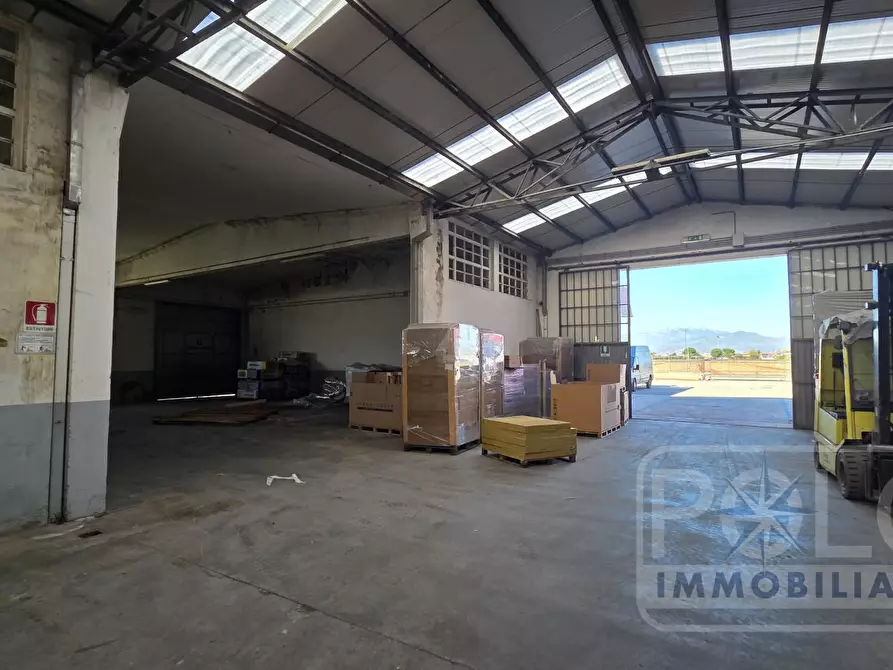 Immagine 3 di Capannone industriale in vendita  a Sommacampagna