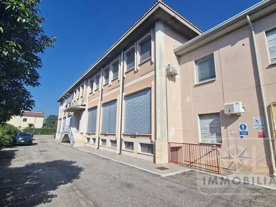 Immagine 3 di Capannone industriale in vendita  a Verona