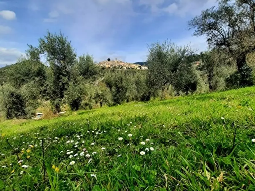 Immagine 7 di Magazzino in vendita  a Casperia