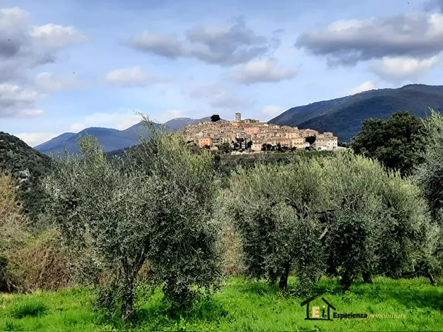 Immagine 5 di Magazzino in vendita  a Casperia