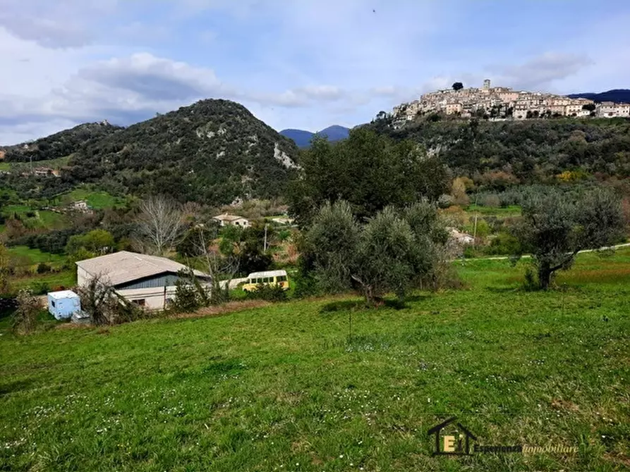 Immagine 4 di Magazzino in vendita  a Casperia