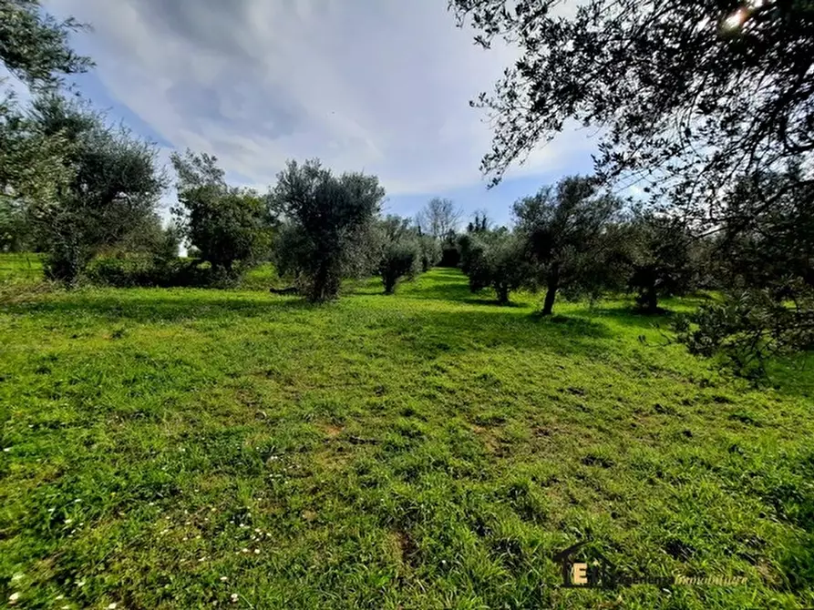 Immagine 6 di Magazzino in vendita  a Casperia