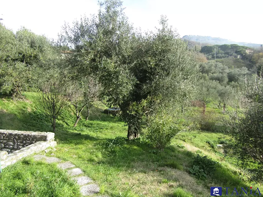 Immagine 2 di Casa indipendente in vendita  23 a Castelnuovo Magra