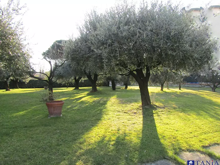 Immagine 2 di Casa indipendente in vendita  a Carrara