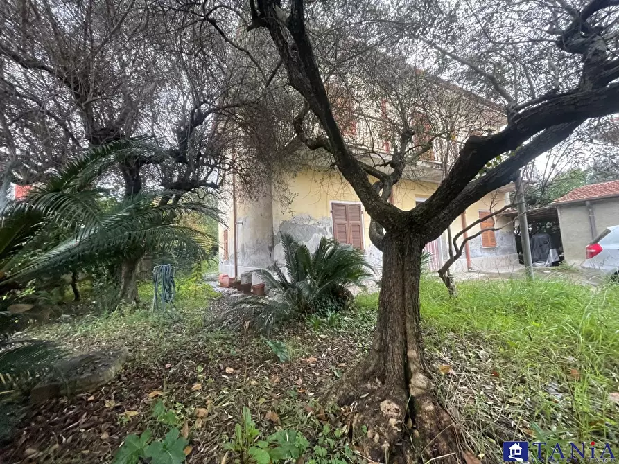 Immagine 4 di Casa indipendente in vendita  4 a Carrara