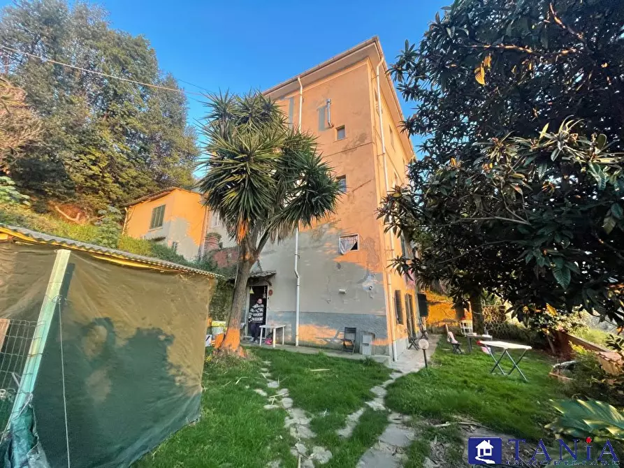 Immagine 1 di Casa indipendente in vendita  a Carrara