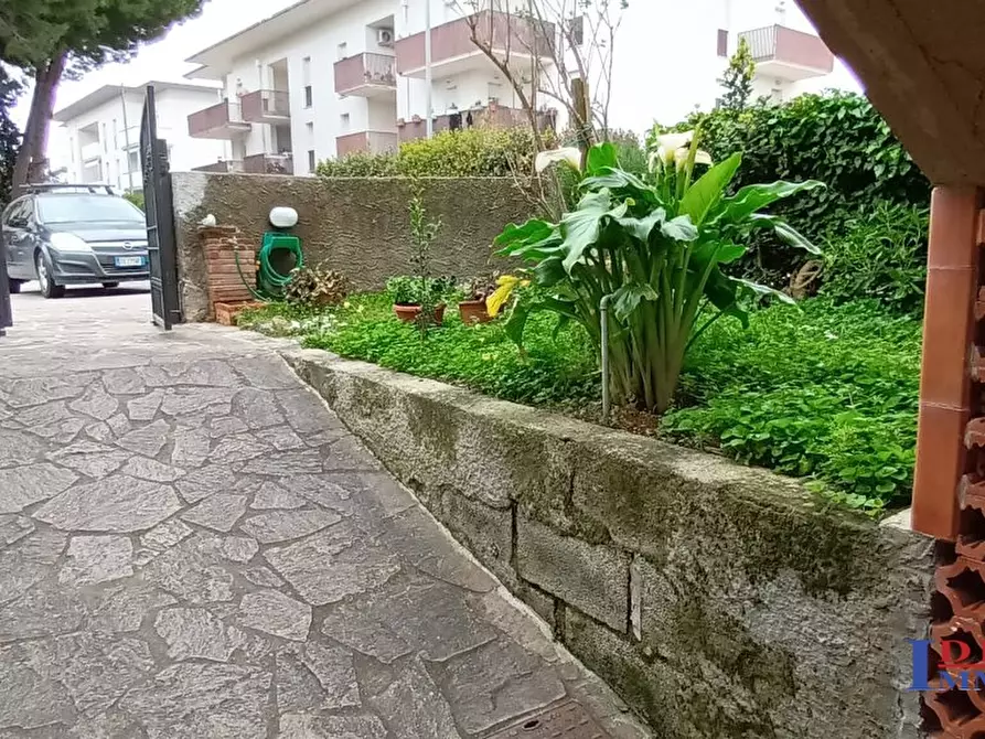 Immagine 3 di Casa semindipendente in vendita  a Rosignano Marittimo