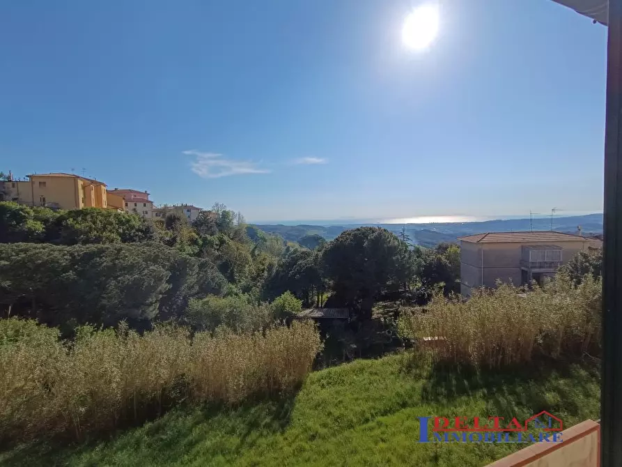Immagine 3 di Casa semindipendente in vendita  a Castellina Marittima