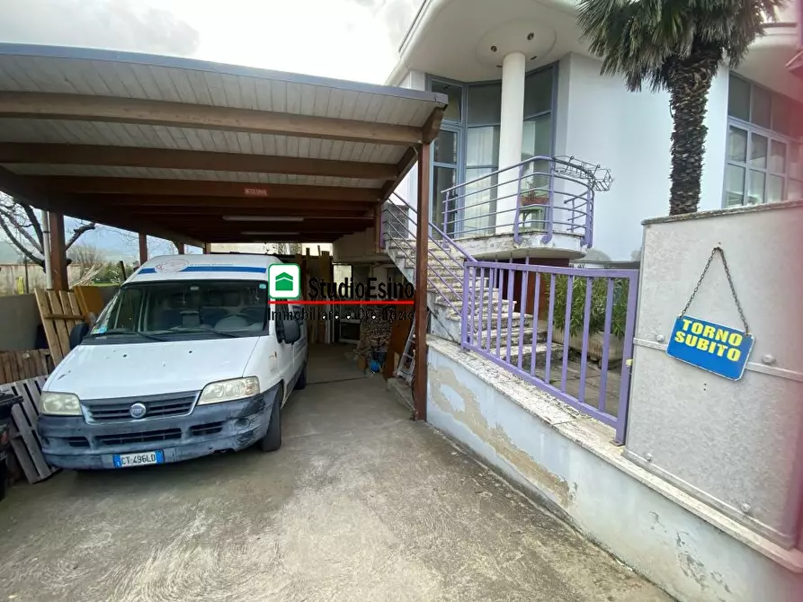 Immagine 3 di Attività artigianale in vendita  a Monsampolo Del Tronto