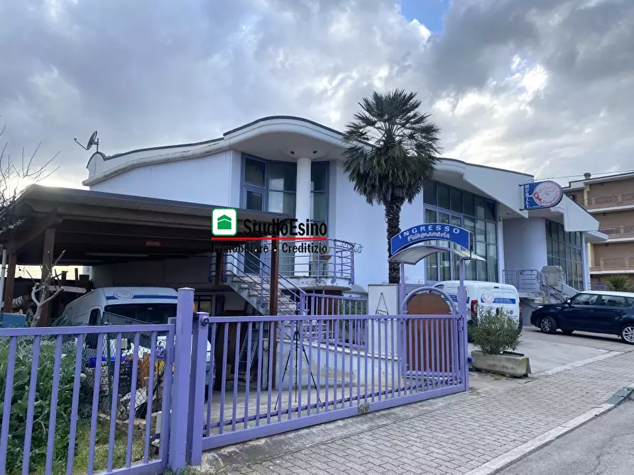 Immagine 1 di Attività artigianale in vendita  a Monsampolo Del Tronto