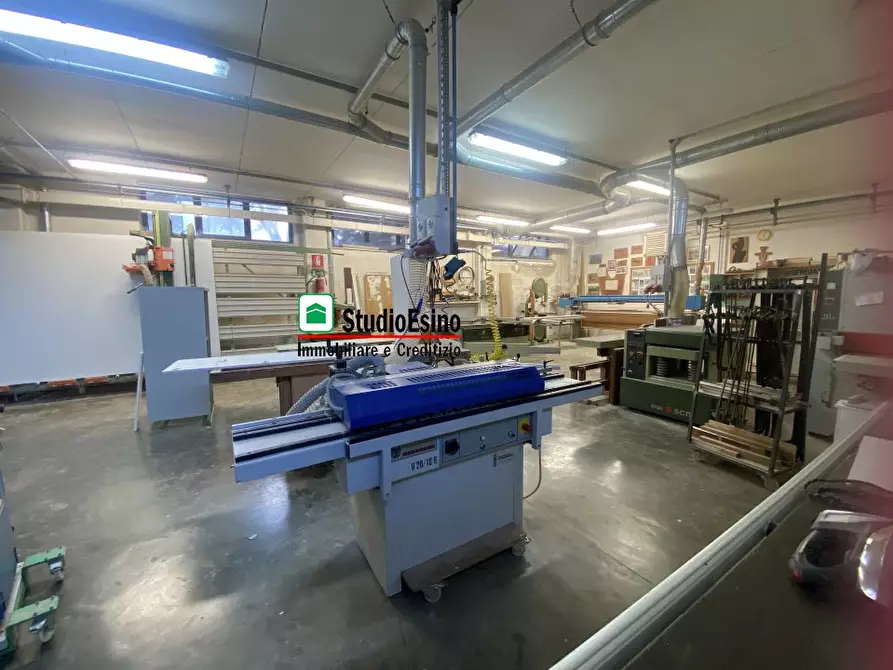 Immagine 9 di Attività artigianale in vendita  a Monsampolo Del Tronto