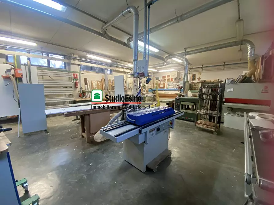 Immagine 7 di Attività artigianale in vendita  a Monsampolo Del Tronto