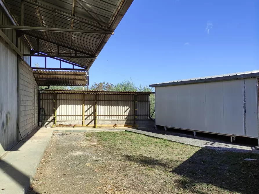 Immagine 6 di Magazzino in vendita  a Rosciano