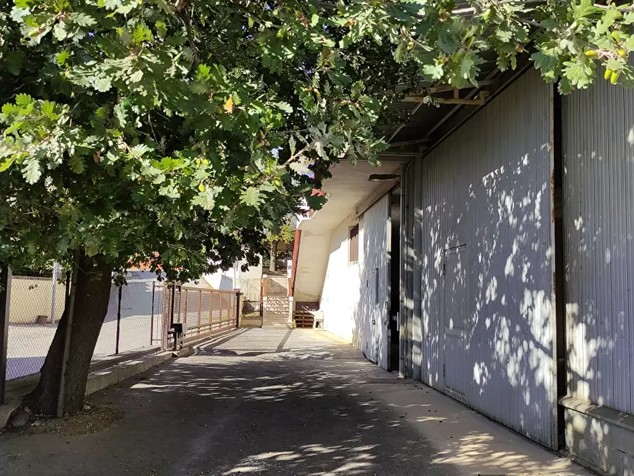 Immagine 5 di Magazzino in vendita  a Rosciano