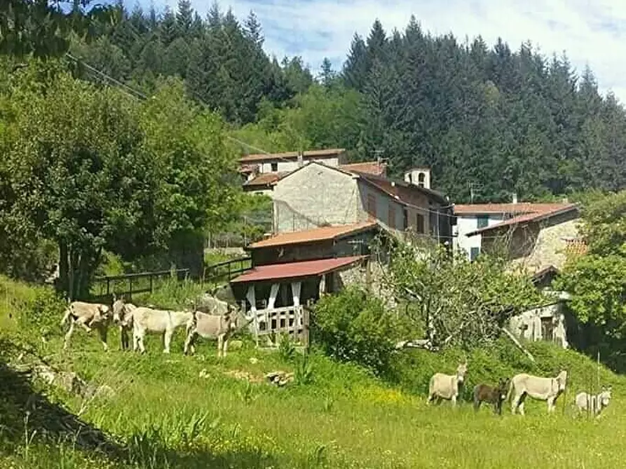 Immagine 7 di Loft/Open space in vendita  a Fivizzano