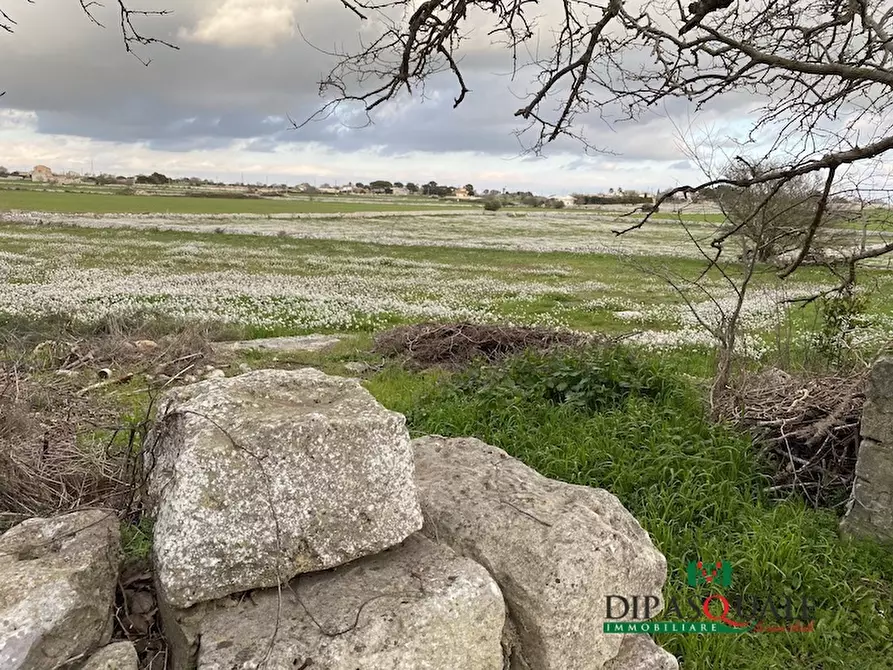 Immagine 10 di Terreno edificabile in vendita  a Ragusa