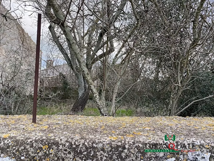 Immagine 7 di Terreno edificabile in vendita  a Ragusa