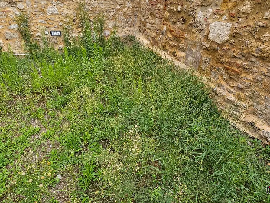 Immagine 10 di Magazzino in vendita  a Colle Di Val D'elsa