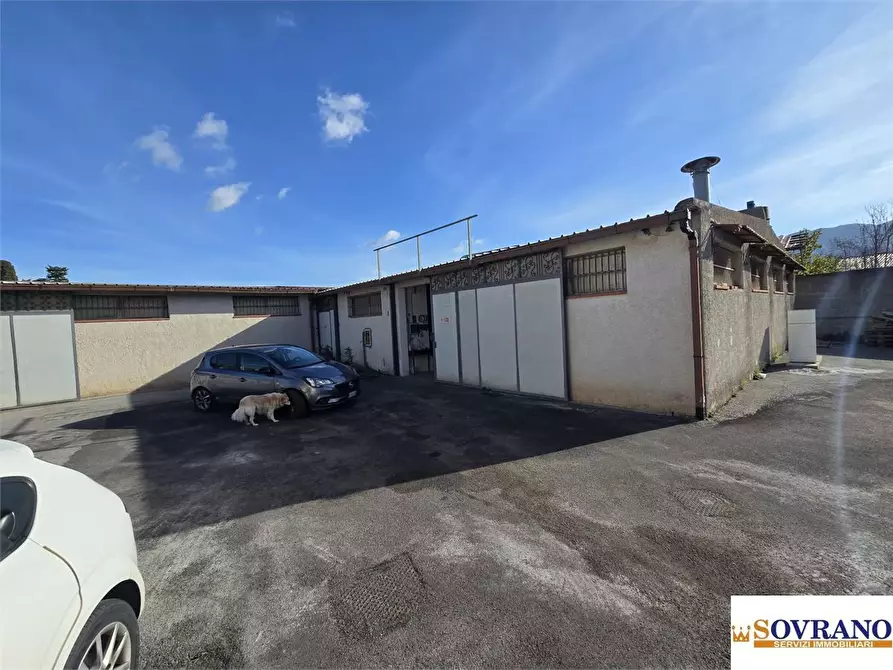 Immagine 5 di Magazzino in vendita  a Palermo