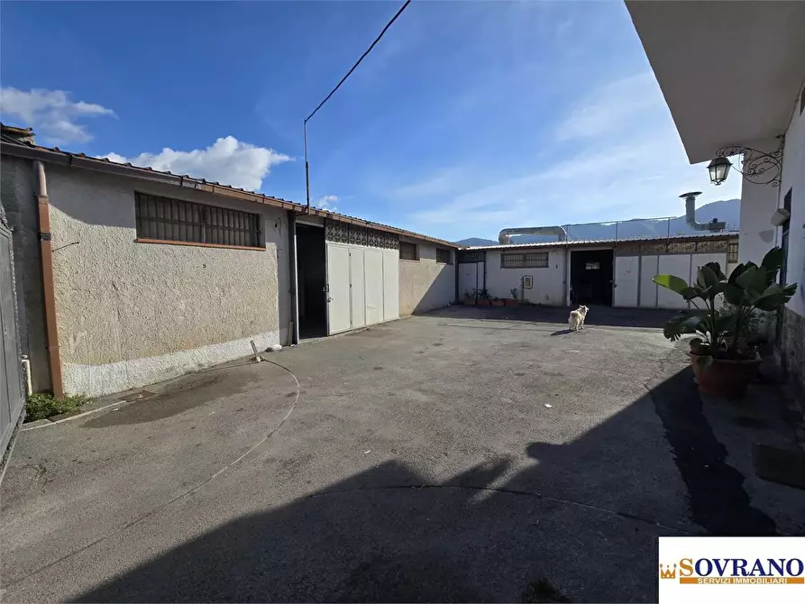 Immagine 3 di Magazzino in vendita  a Palermo