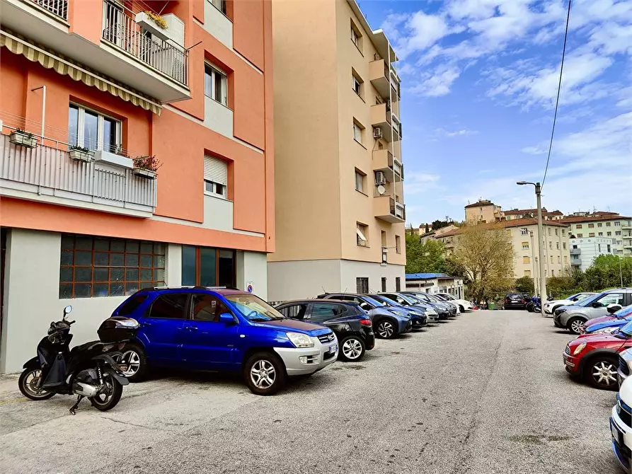 Immagine 2 di Appartamento in vendita  7 a Trieste