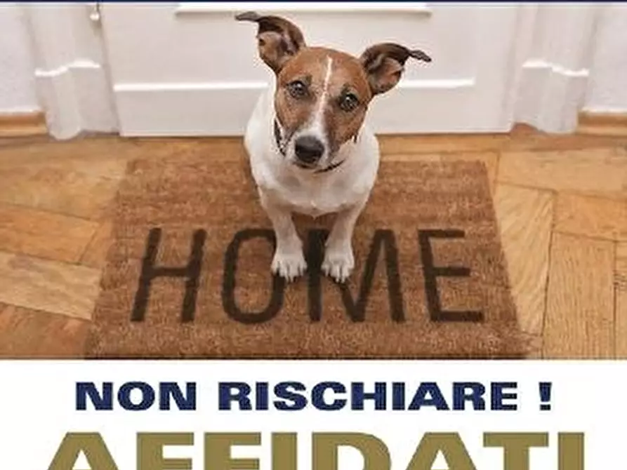 Immagine 4 di Palazzo in vendita  a Avellino