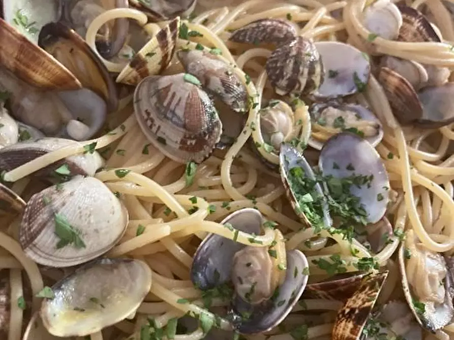 Immagine 9 di Licenza in vendita  a Albenga