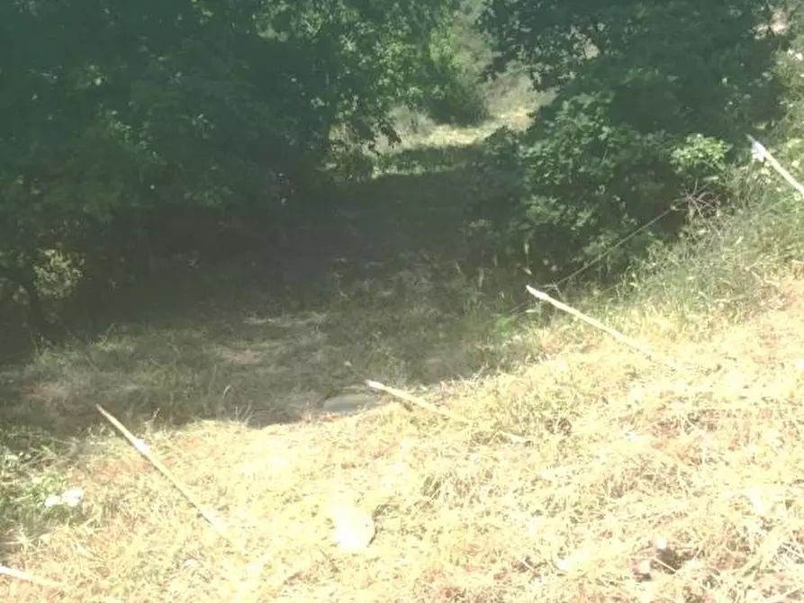 Immagine 8 di Villa in vendita  a Messina