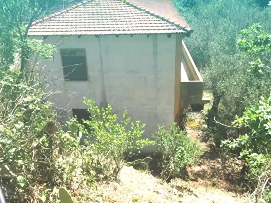 Immagine 10 di Villa in vendita  a Messina