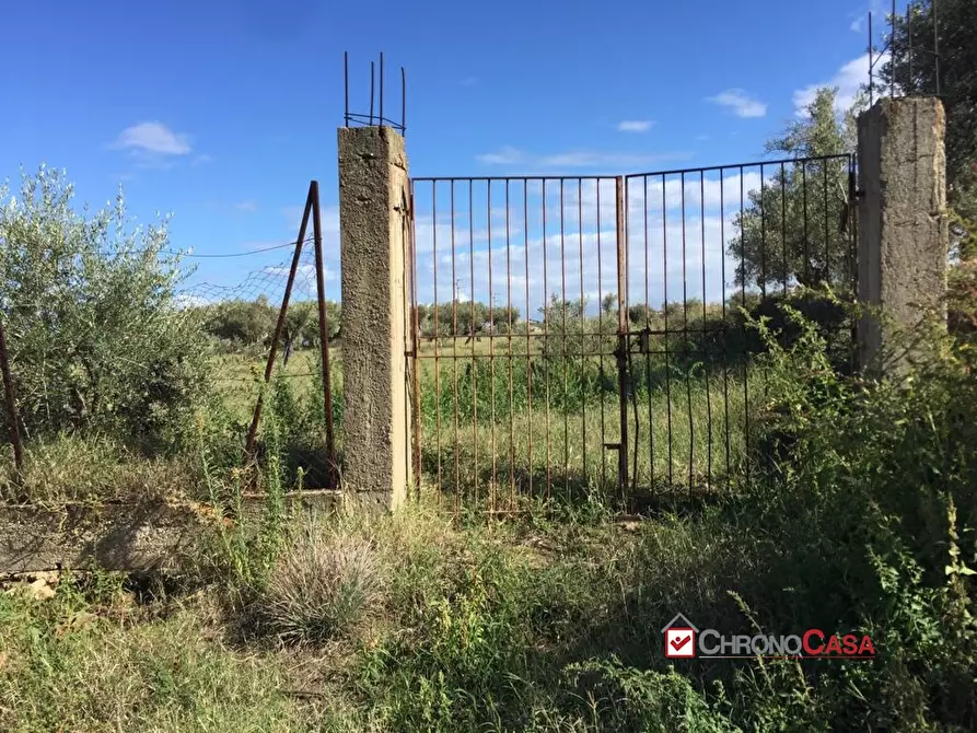 Immagine 8 di Rustico / casale in vendita  a Messina